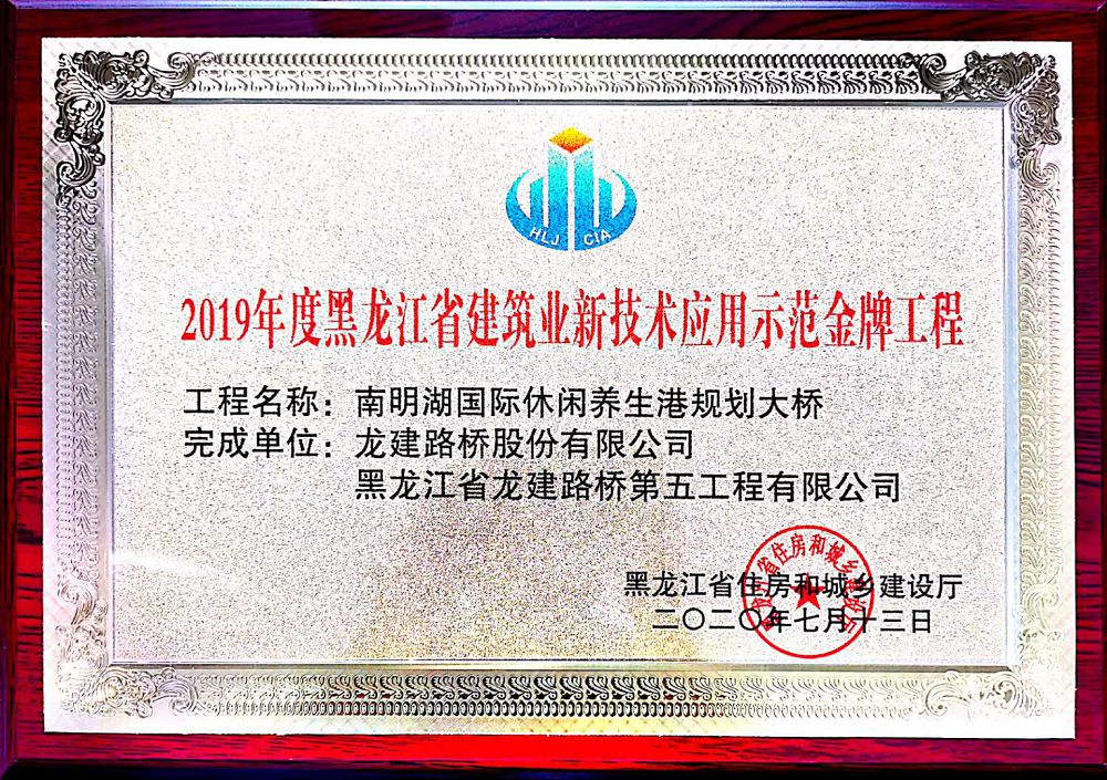 南明湖國際休閑養(yǎng)生港規(guī)劃大橋